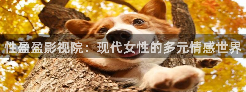 abc倫理影院：性盈盈影視院：現代女性的多元情感世界