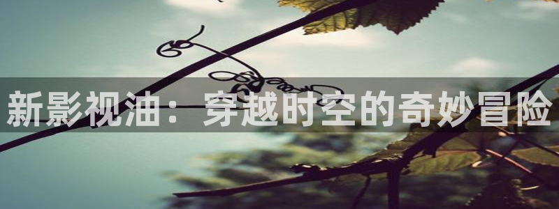 神馬免費倫理影院：新影視油：穿越時空的奇妙冒險