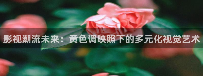 8090倫理影院：影視潮流未來：黃色調(diào)映照下的多元化視覺藝術