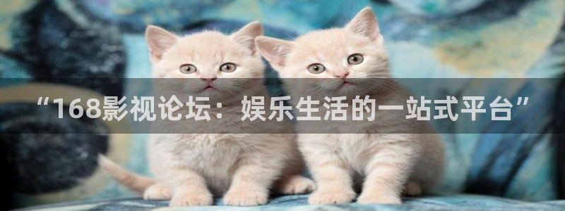 新倫理影院：“168影視論壇：娛樂生活的一站式平臺”